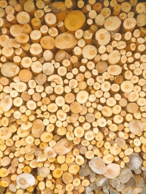 El Telar Arte Y Naturaleza Prádena Exterior foto