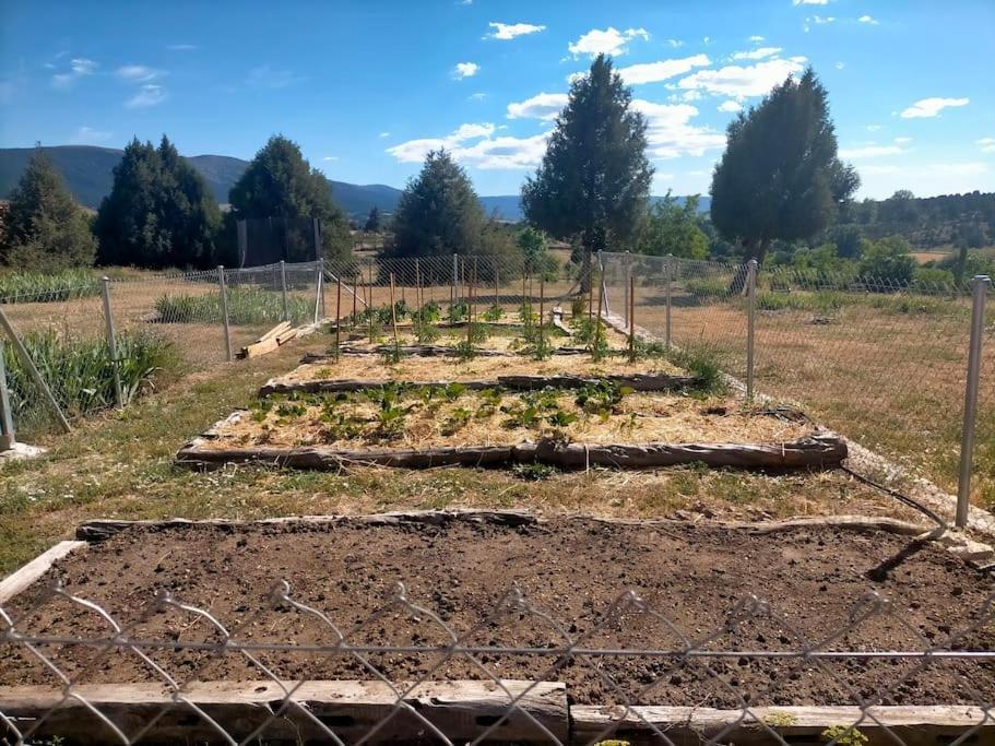 El Telar Arte Y Naturaleza Prádena Exterior foto